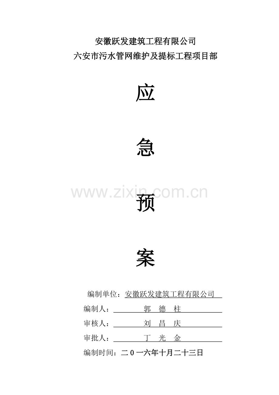 公司应急专项预案专项方案.doc_第3页