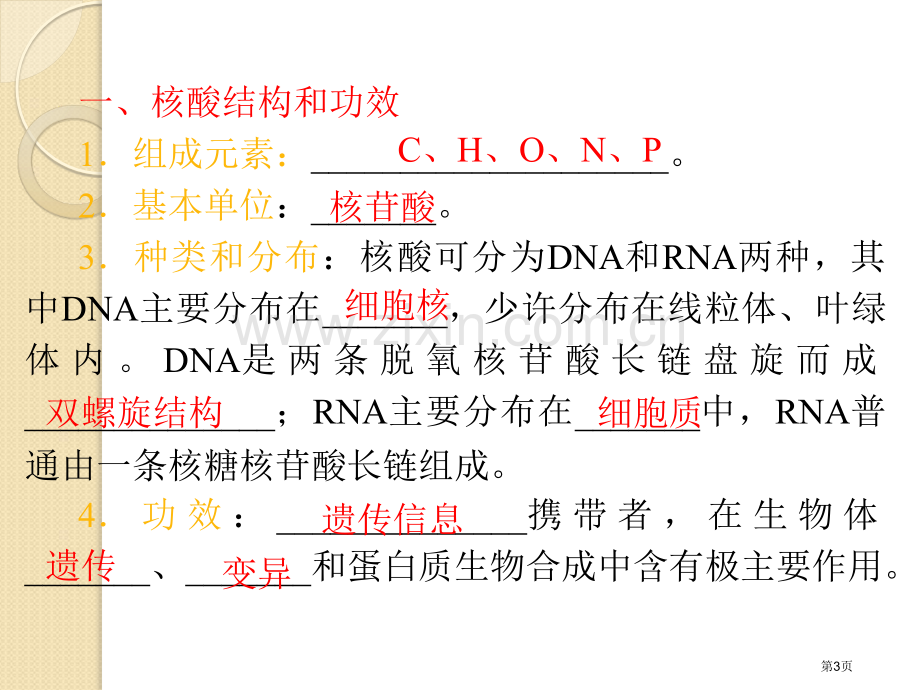 高三生物复习第4讲遗传信息的携带者核酸细胞中的糖类和脂质安徽省公共课一等奖全国赛课获奖课件.pptx_第3页