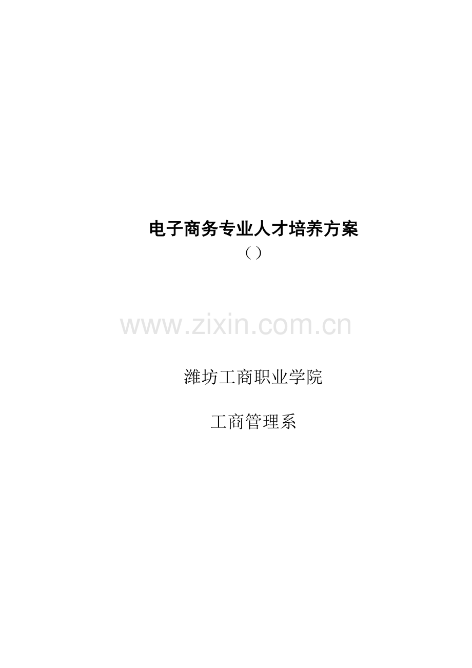 电子商务人才培养专题方案.docx_第1页