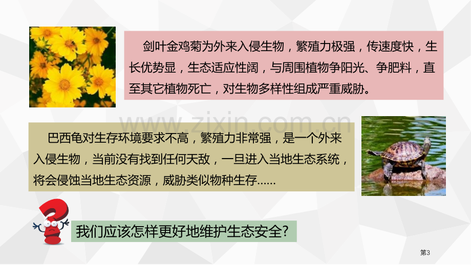 维护国家安全省公开课一等奖新名师比赛一等奖课件.pptx_第3页