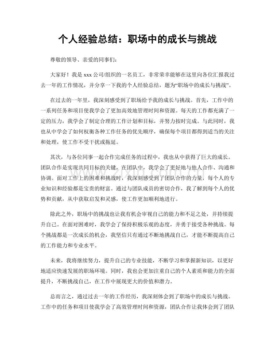 个人经验总结：职场中的成长与挑战.docx_第1页