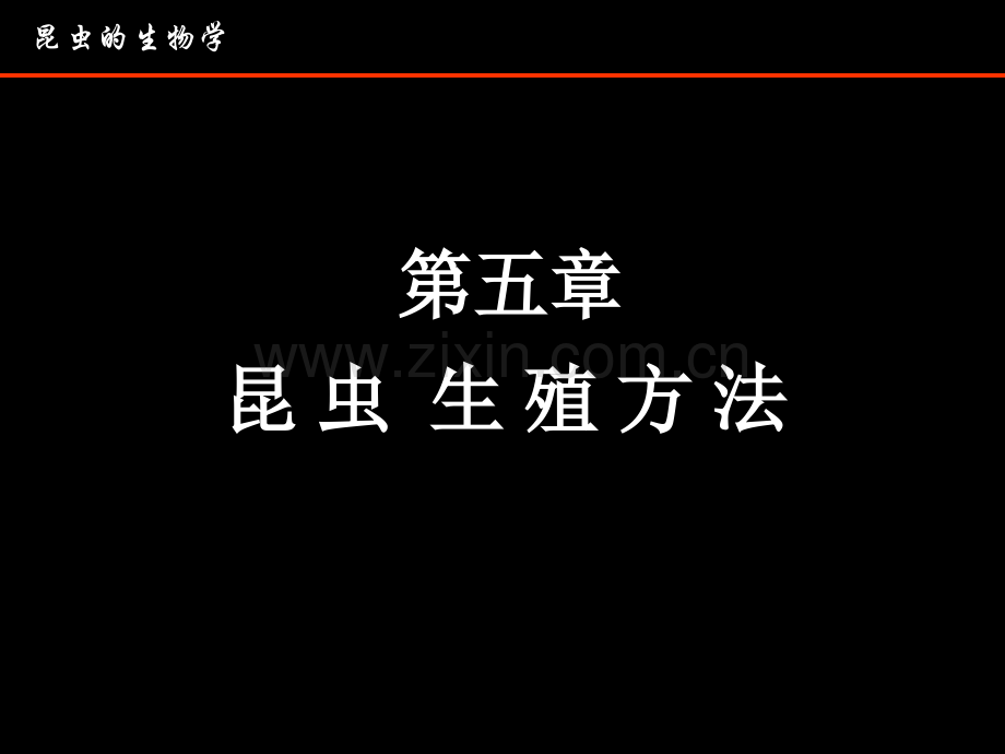 昆虫学的生物学省公共课一等奖全国赛课获奖课件.pptx_第3页