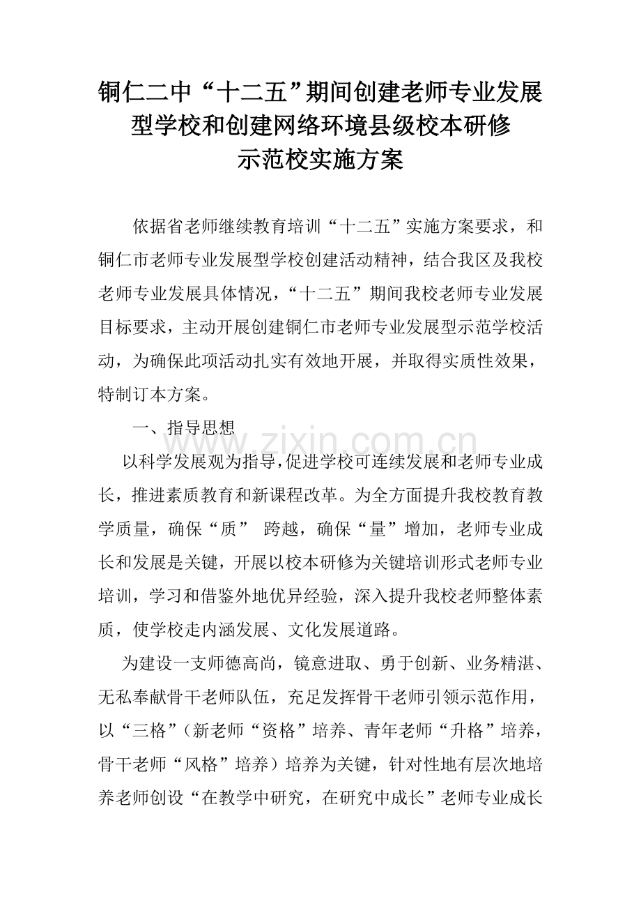 教师专业发展实施专项方案.doc_第1页