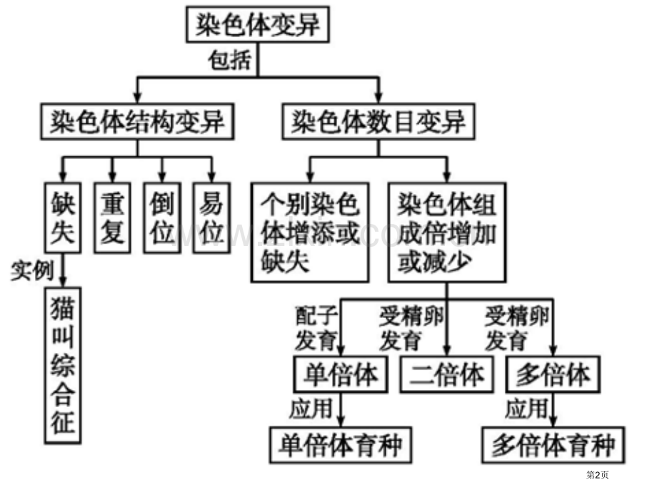 一轮复习染色体变异和育种市公开课一等奖百校联赛获奖课件.pptx_第2页