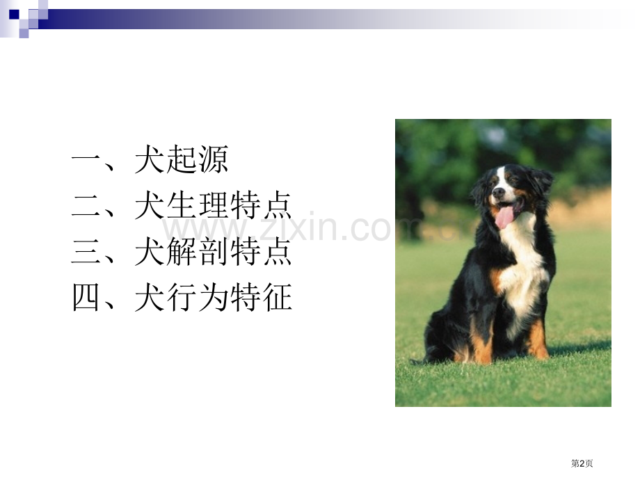 犬的生物学特性省公共课一等奖全国赛课获奖课件.pptx_第2页