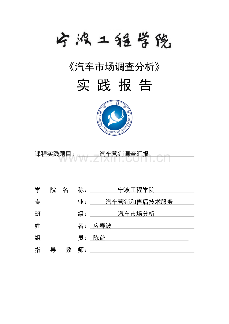 汽车市场调查分析报告.doc_第1页