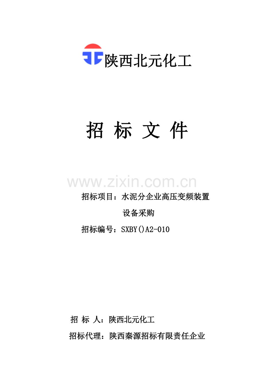 陕西公司招标文件模板.doc_第1页