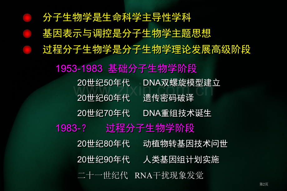 过程分子生物学省公共课一等奖全国赛课获奖课件.pptx_第2页