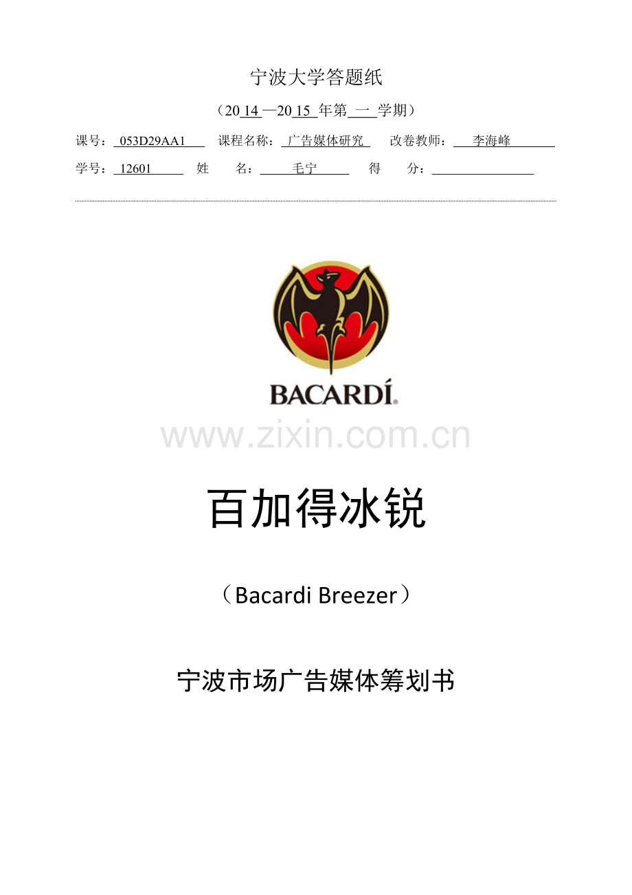 百加得冰锐广告媒体投放专业策划案.doc_第1页