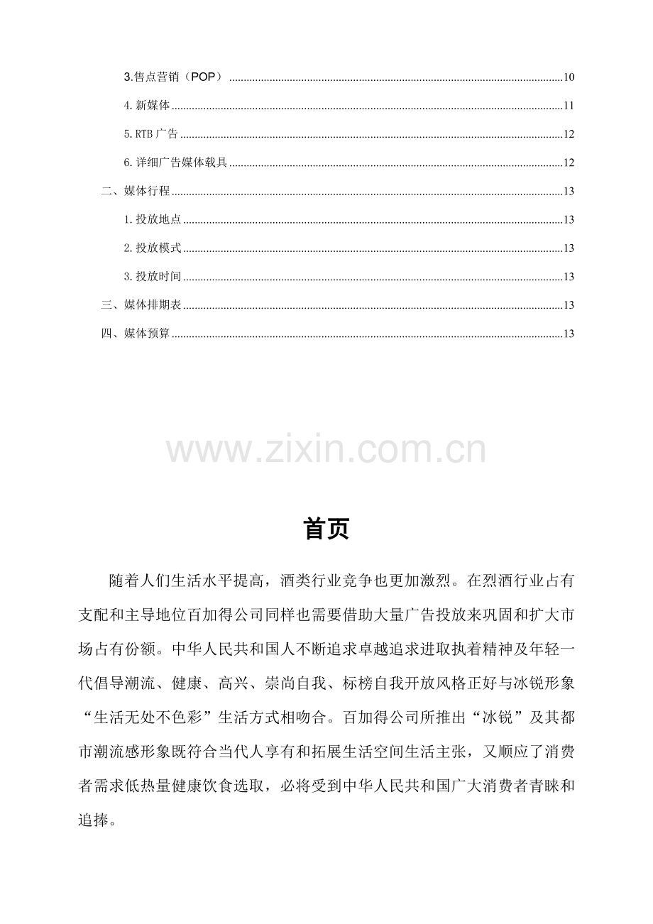 百加得冰锐广告媒体投放专业策划案.doc_第3页