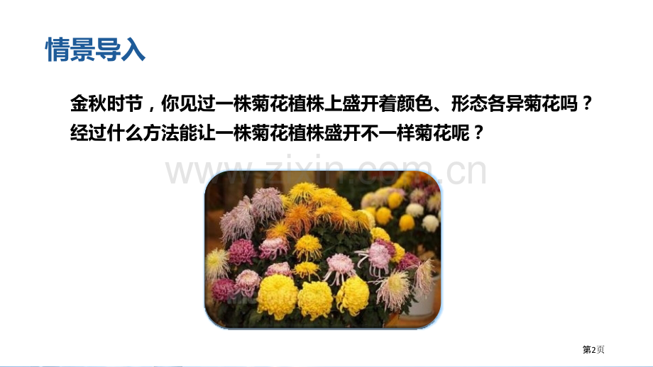 植物的生殖省公开课一等奖新名师比赛一等奖课件.pptx_第2页