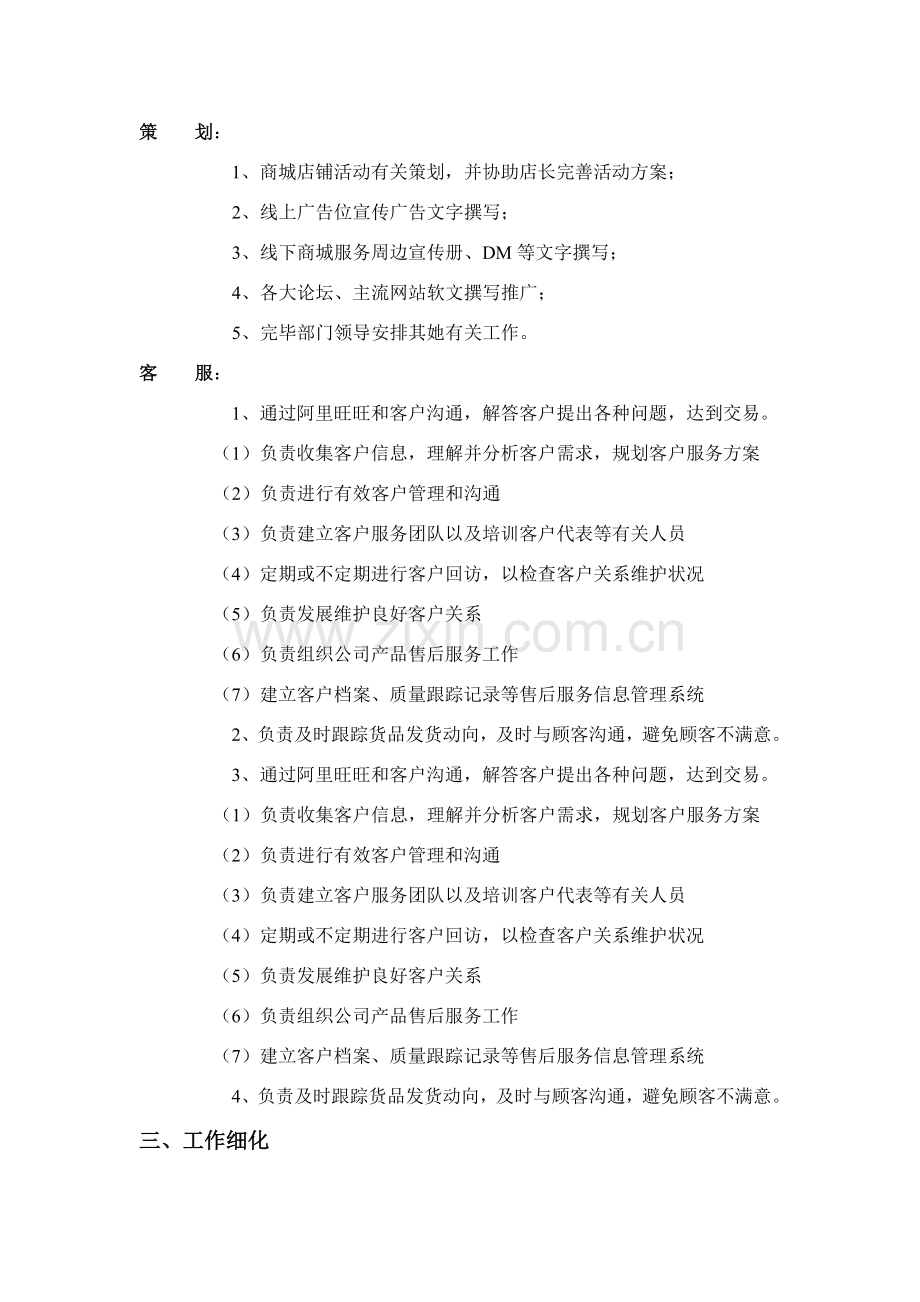 电商启动运营专项方案.doc_第3页