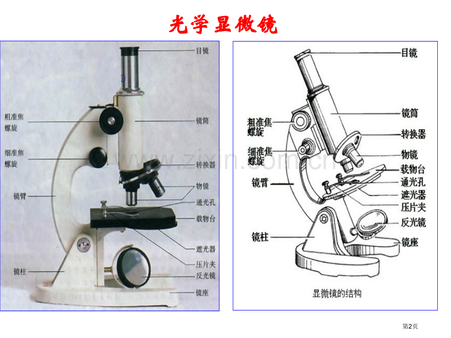 高中生物显微镜的使用省公共课一等奖全国赛课获奖课件.pptx_第2页