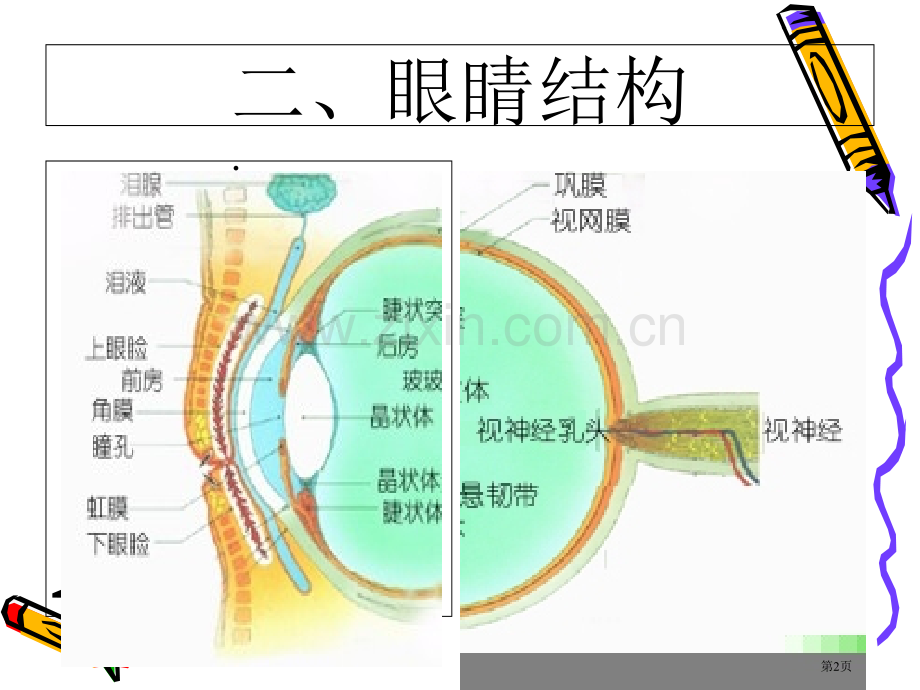 爱眼护眼班会市公开课一等奖百校联赛获奖课件.pptx_第2页