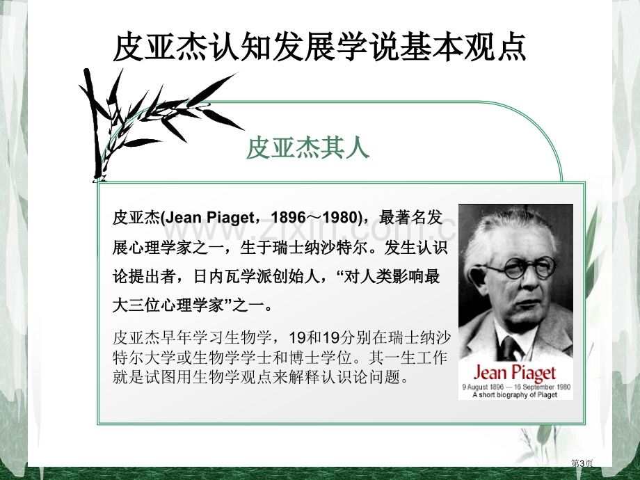 皮亚杰的认知发展阶段论和教学设计省公共课一等奖全国赛课获奖课件.pptx_第3页