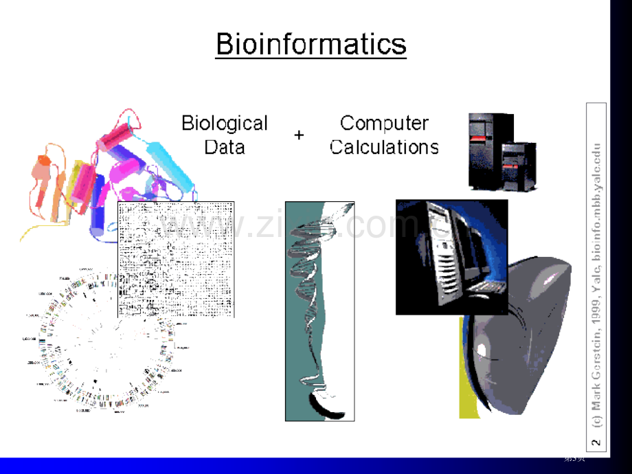 生物信息数据库和生物信息中心省公共课一等奖全国赛课获奖课件.pptx_第3页