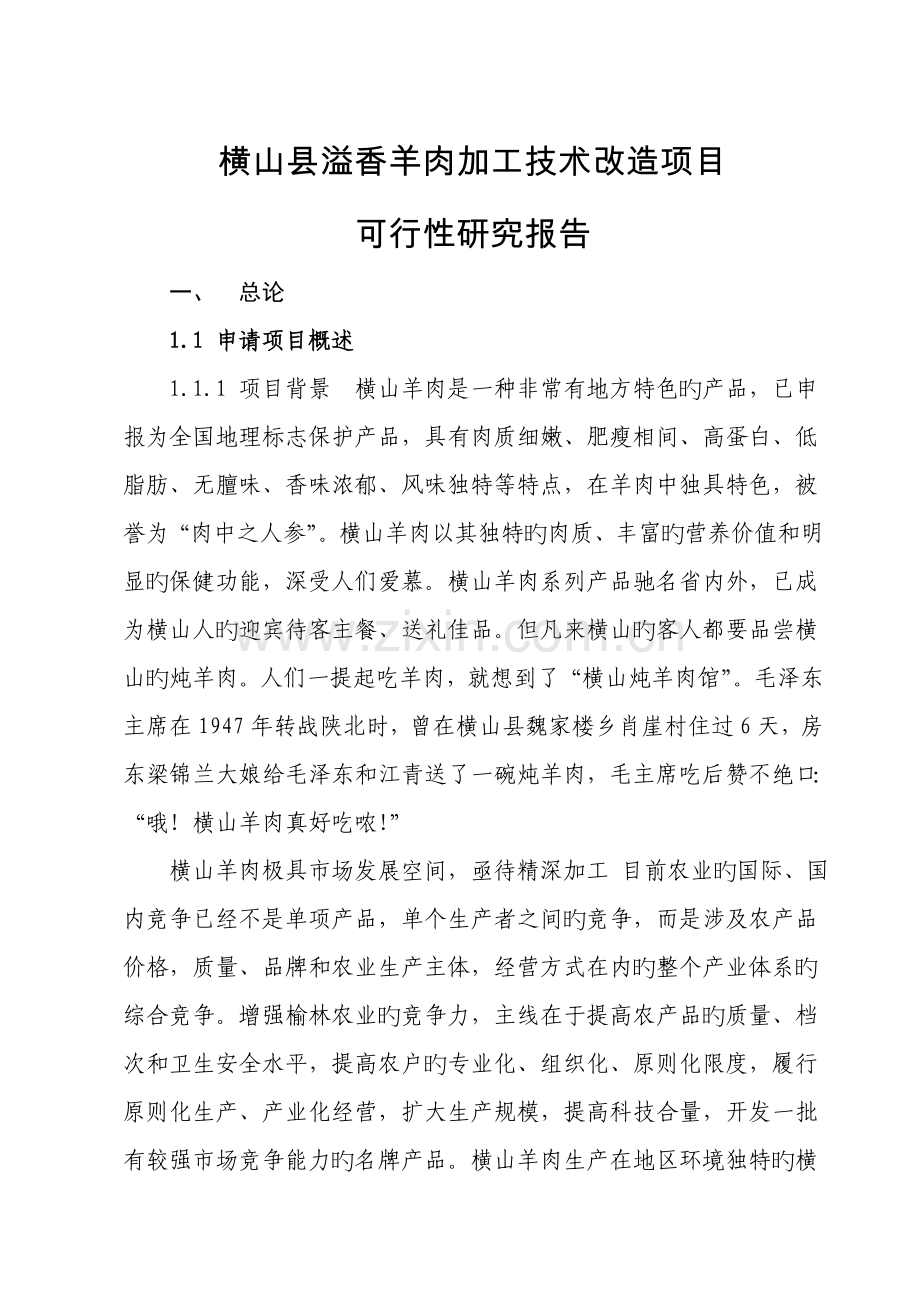 溢香羊肉加工重点技术改造专项项目可行性专题研究报告.docx_第1页