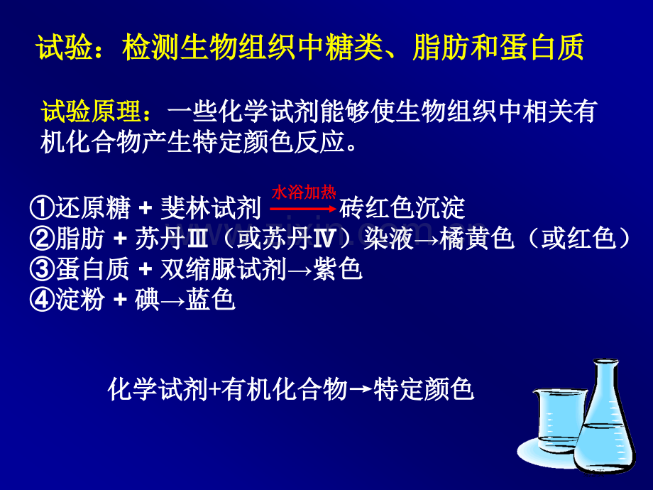 高中生物检测生物组织中的糖类脂肪和蛋白质省公共课一等奖全国赛课获奖课件.pptx_第2页