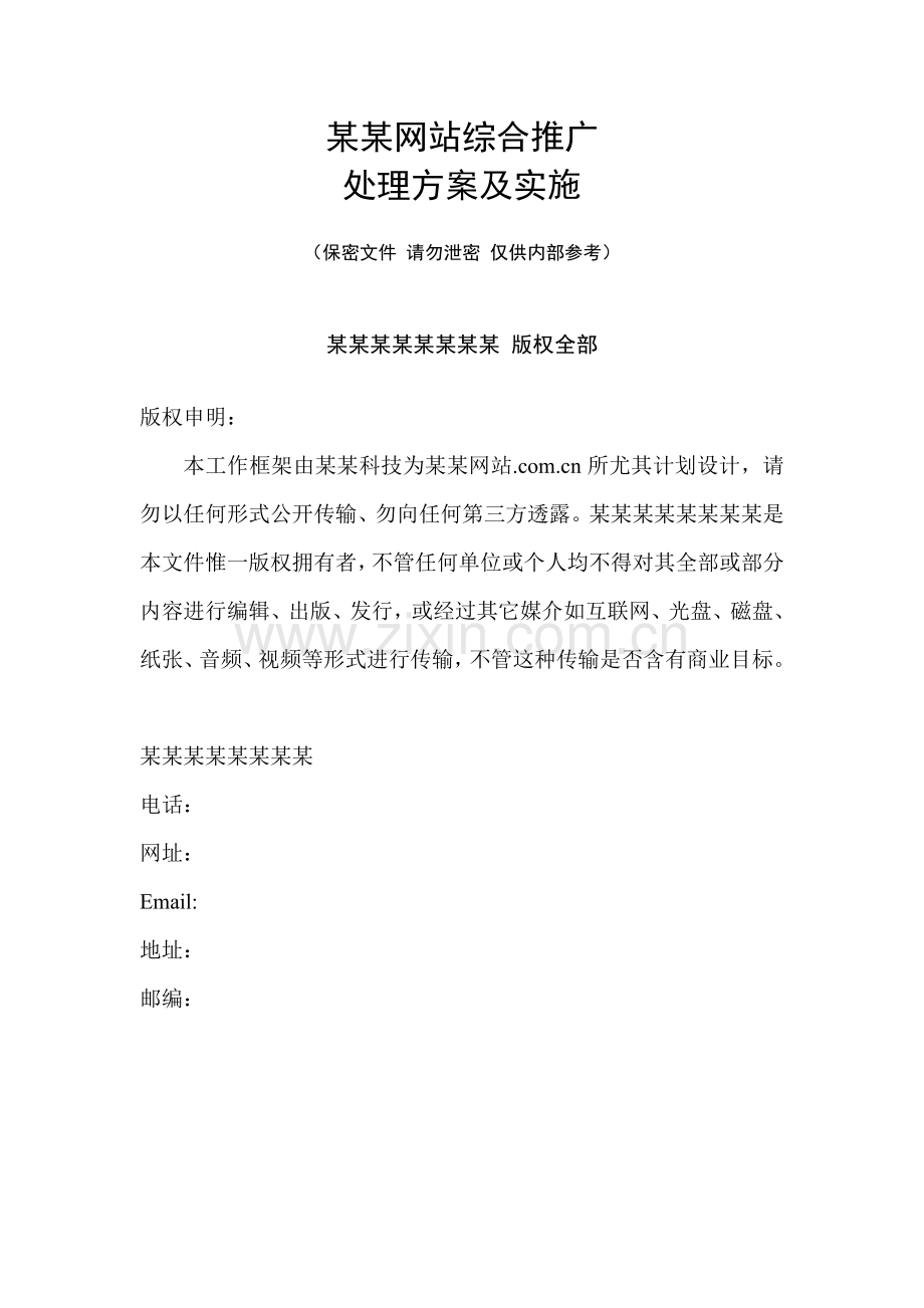 网站综合推广解决方案及其实施样本.doc_第1页