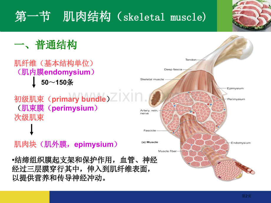 肉的组织结构化学组成和基本性质省公共课一等奖全国赛课获奖课件.pptx_第2页