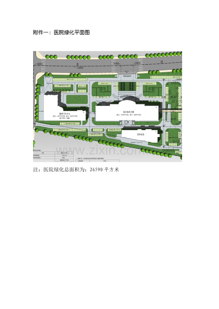 新版绿化养护专项方案.doc_第1页