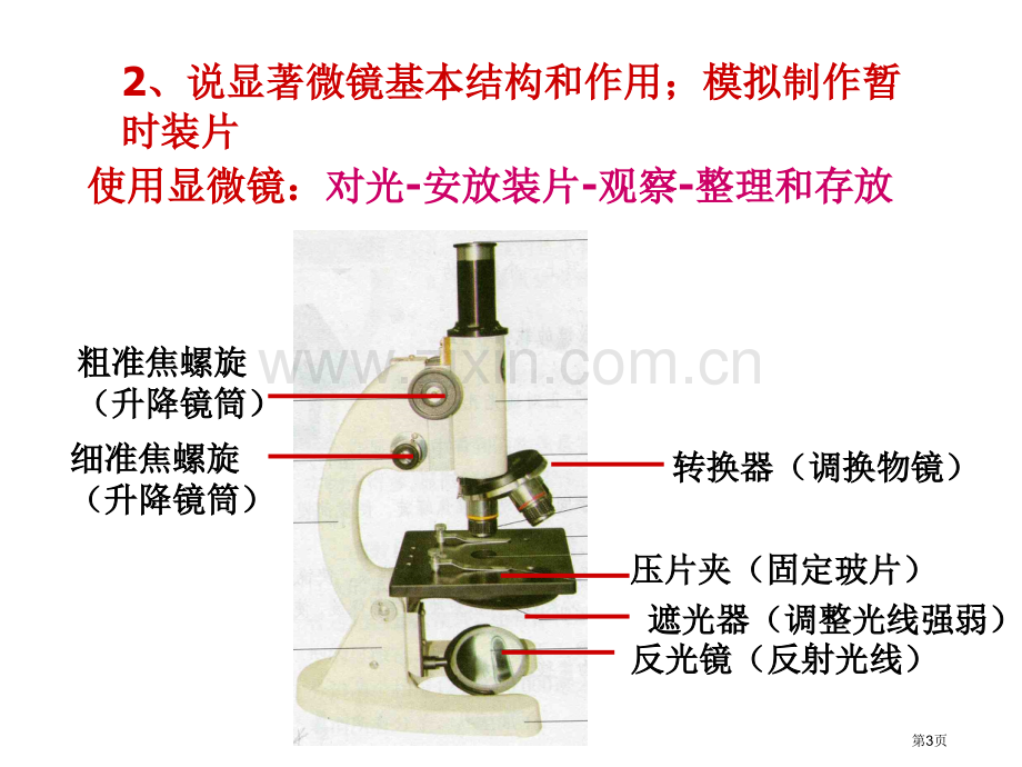 生物学考重点知识省公共课一等奖全国赛课获奖课件.pptx_第3页