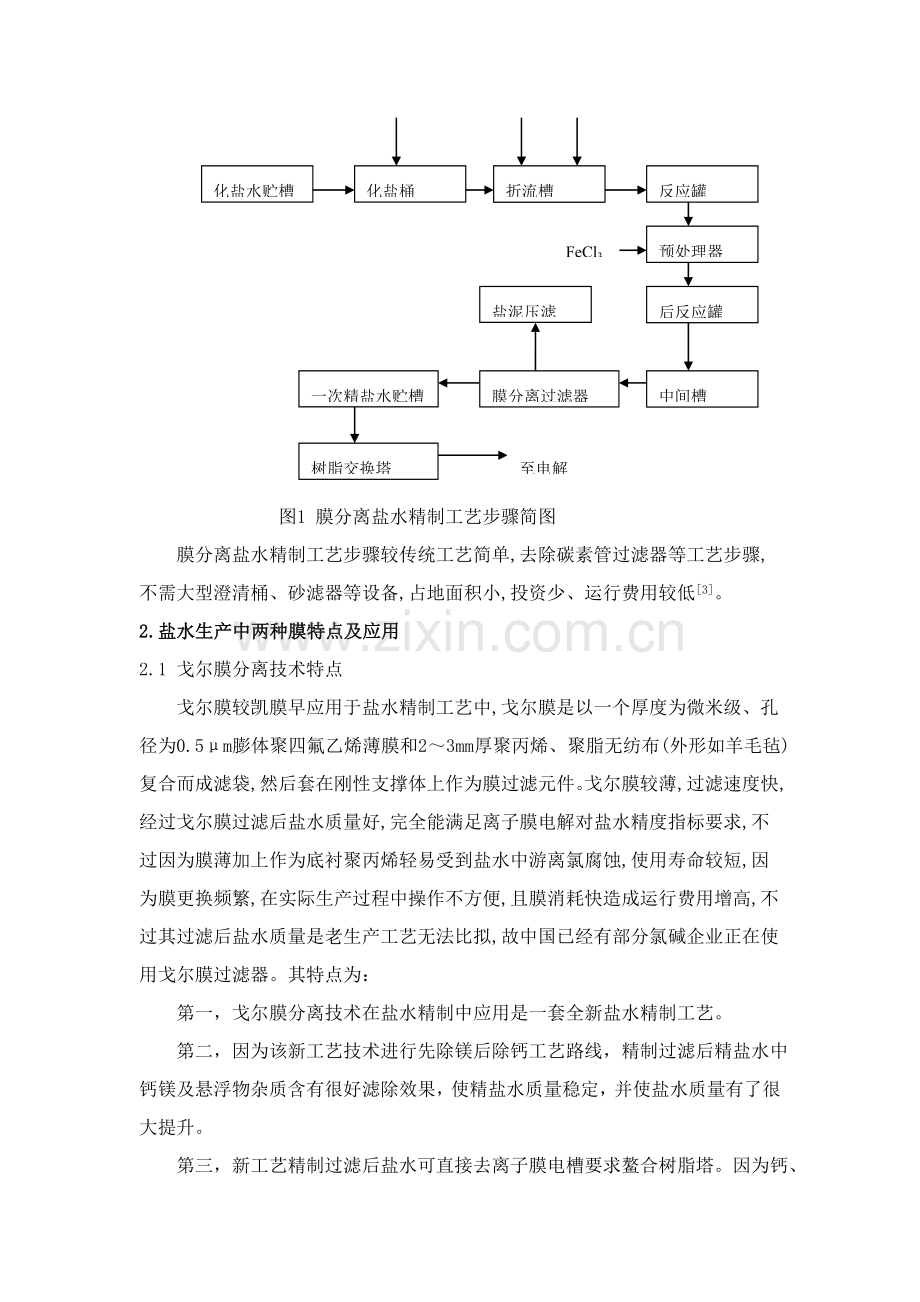 浅谈盐湖资源开发过程的膜分离工艺技术模板.doc_第3页