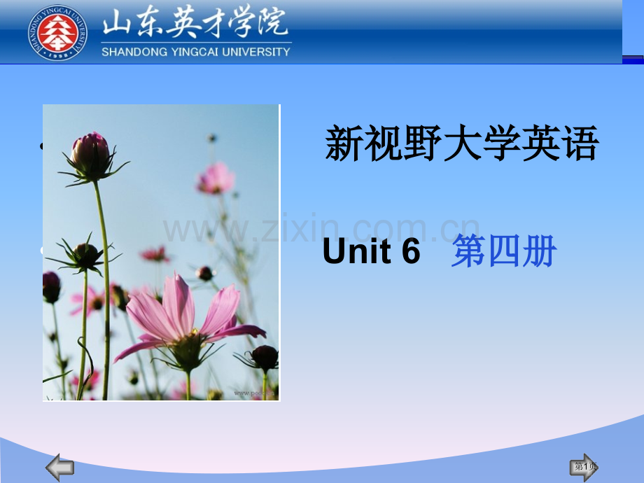 新视野大学英语Unit6第四册市公开课一等奖百校联赛特等奖课件.pptx_第1页