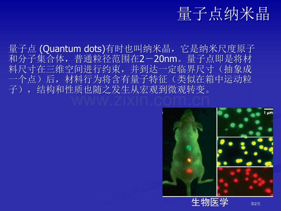 纳米材料和生物技术省公共课一等奖全国赛课获奖课件.pptx_第2页