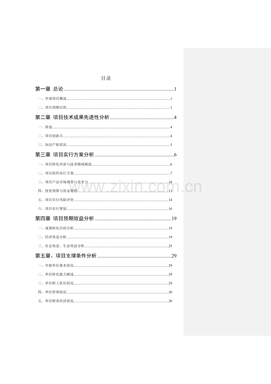 科技成果转化资金综合项目可行性研究应用报告模板.doc_第2页