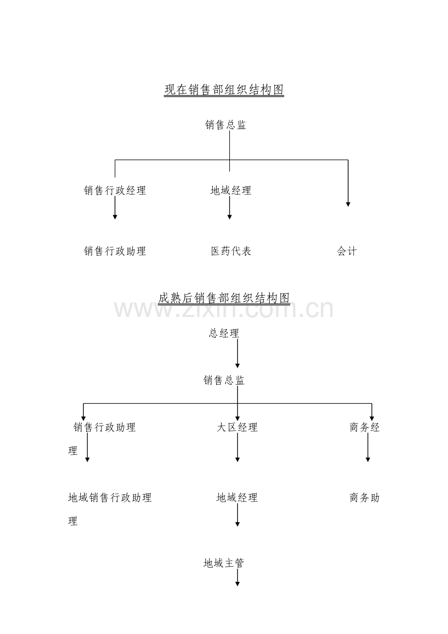 集团处方药部销售管理制度分析样本.doc_第3页