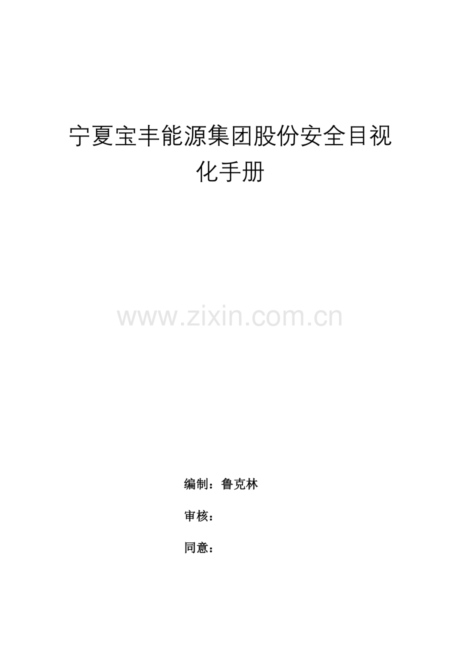 能源集团安全目视化手册模板.docx_第1页