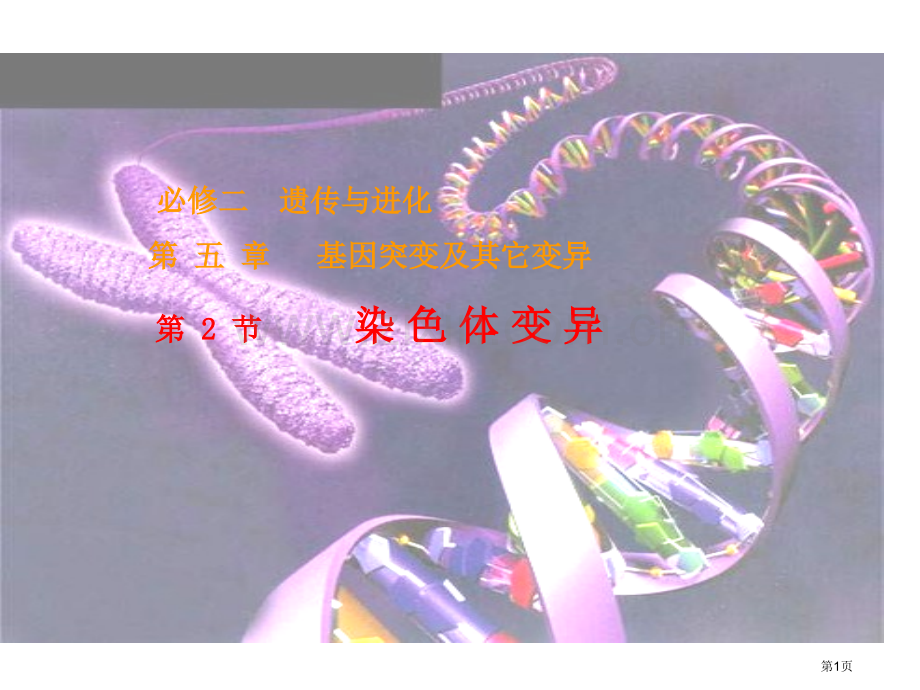 高二生物染色体变异省公共课一等奖全国赛课获奖课件.pptx_第1页