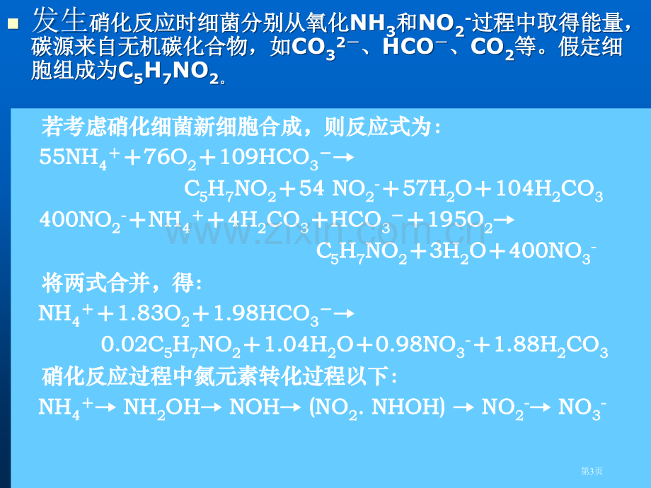 生物脱氮专题培训市公开课一等奖百校联赛特等奖课件.pptx_第3页