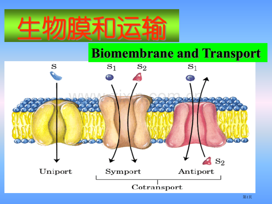 生物膜和运输省公共课一等奖全国赛课获奖课件.pptx_第1页