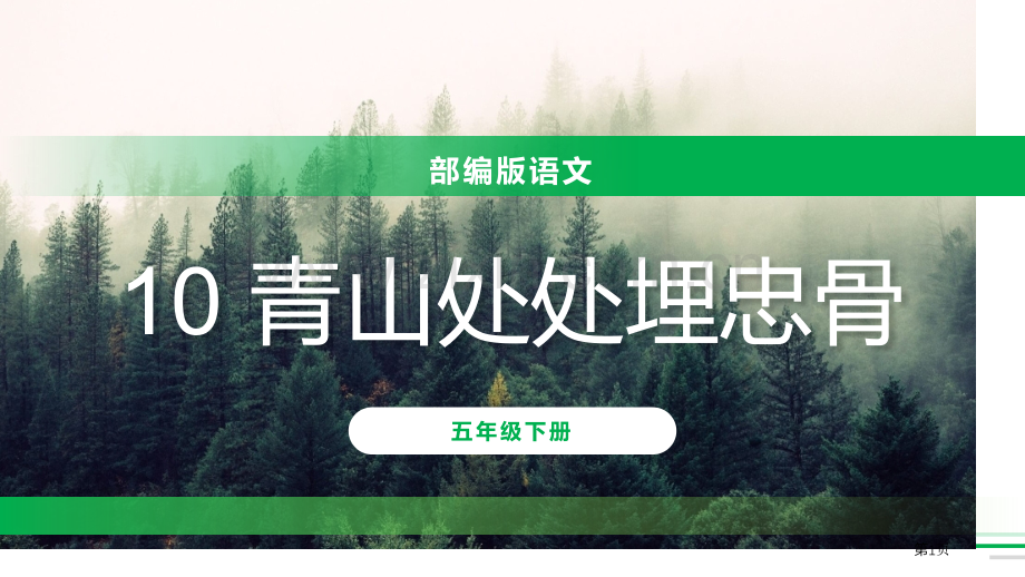 青山处处埋忠骨课件省公开课一等奖新名师比赛一等奖课件.pptx_第1页