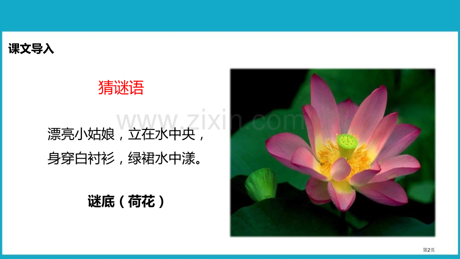 荷花件省公开课一等奖新名师比赛一等奖课件.pptx_第2页