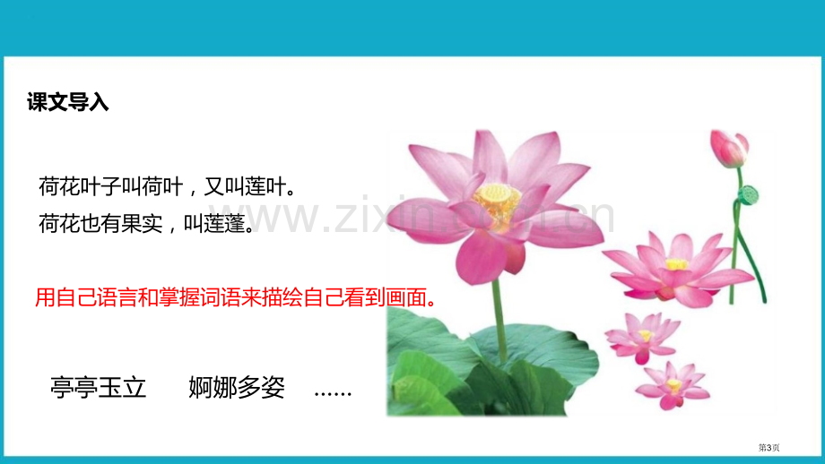 荷花件省公开课一等奖新名师比赛一等奖课件.pptx_第3页