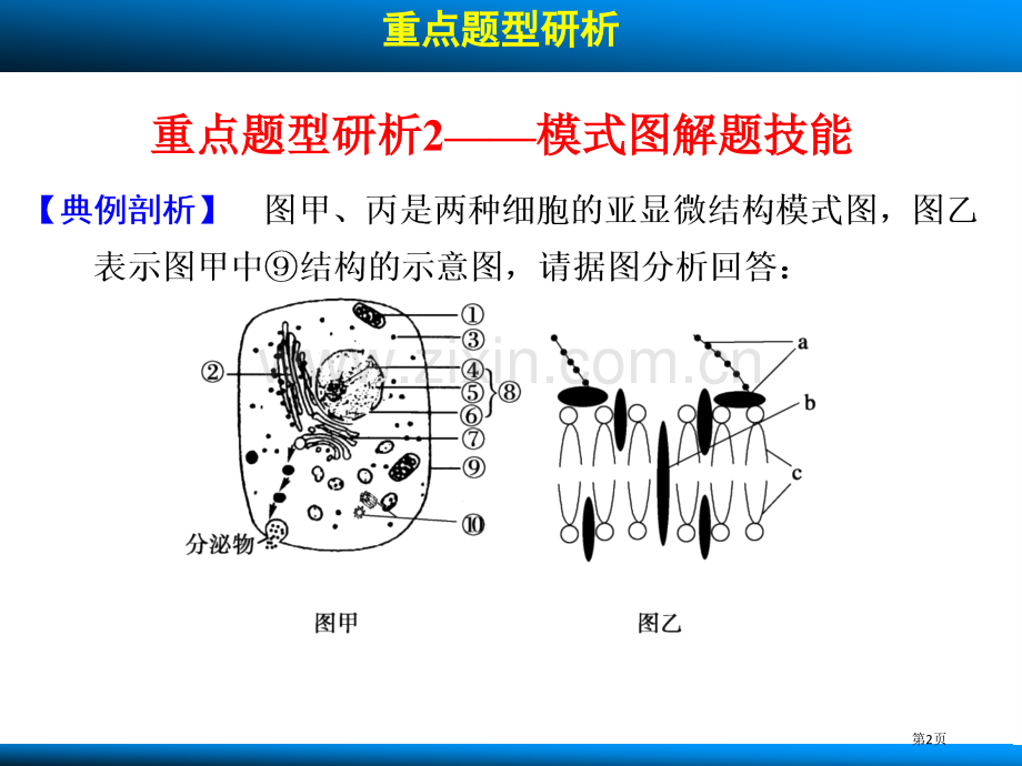 高考生物人教版广东专用一轮复习第二单元细胞的基本结构和物质运输功能考能专项突破省公共课一等奖全国赛课.pptx_第2页