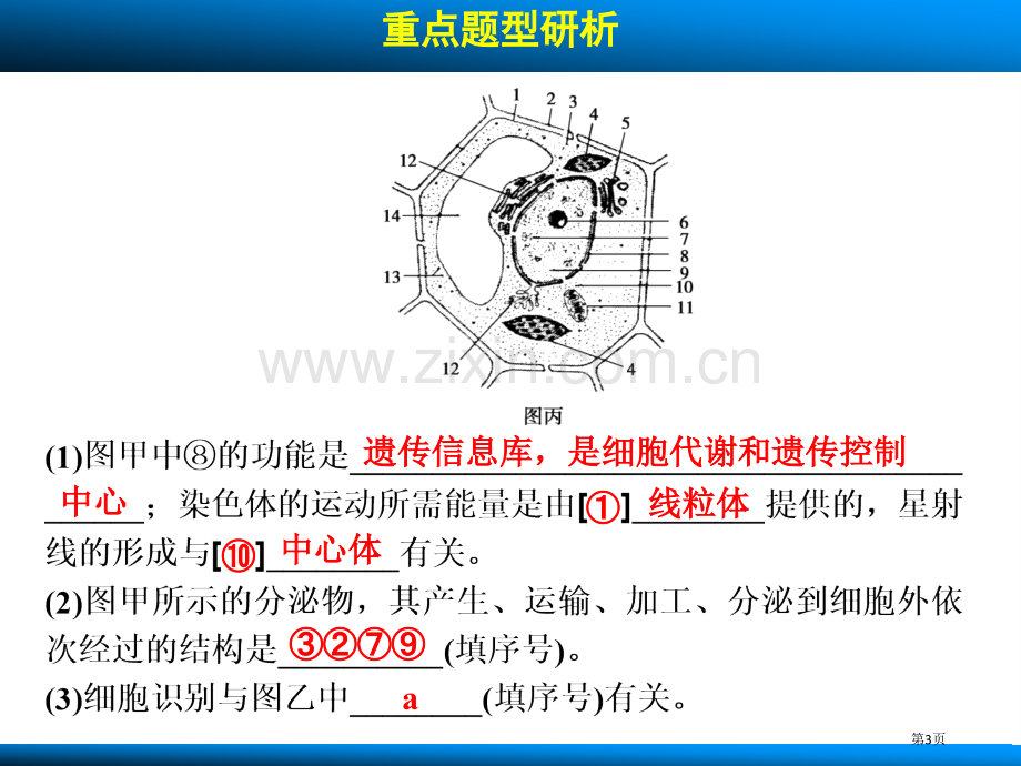 高考生物人教版广东专用一轮复习第二单元细胞的基本结构和物质运输功能考能专项突破省公共课一等奖全国赛课.pptx_第3页