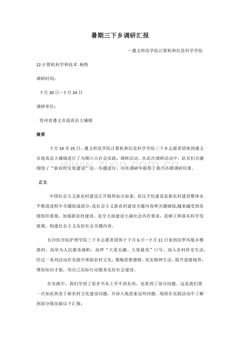 暑期三下乡调研研究报告.docx_第1页