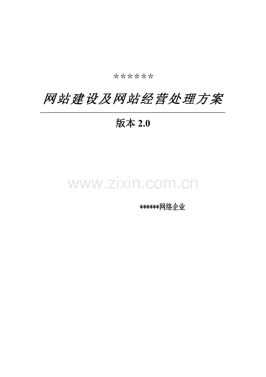 网络公司网站建设及经营解决方案模板样本.doc_第1页