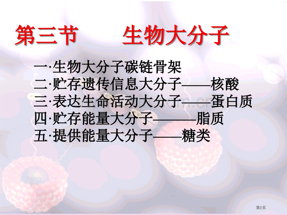 生物大分子教学使用省公共课一等奖全国赛课获奖课件.pptx_第1页