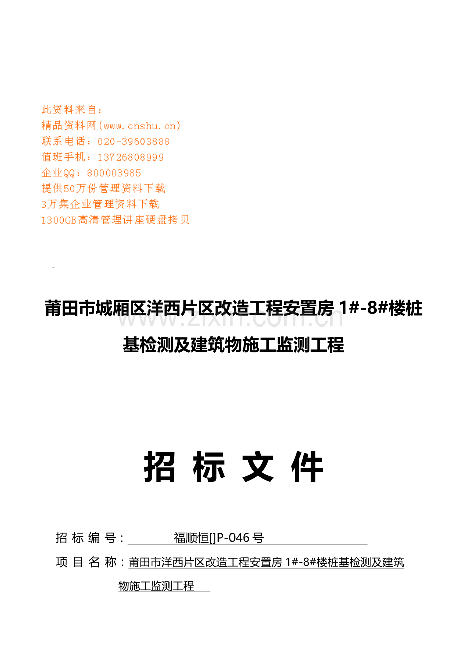 楼房桩基检测及建筑物施工监测招标文件模板.doc_第1页