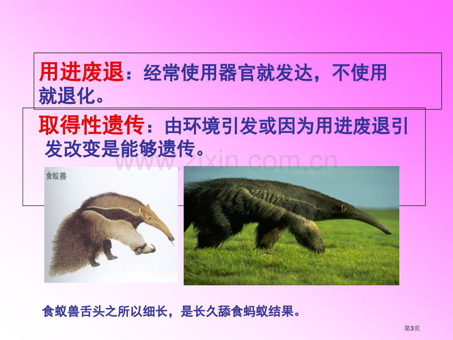 现代生物进化理论一轮复习省公共课一等奖全国赛课获奖课件.pptx_第3页