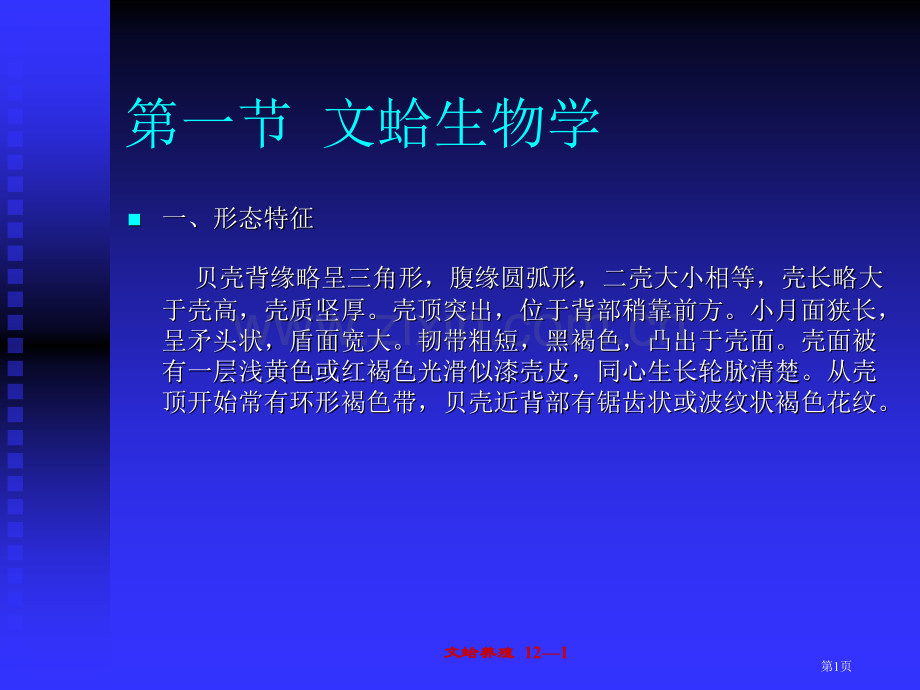 文蛤的生物学省公共课一等奖全国赛课获奖课件.pptx_第1页