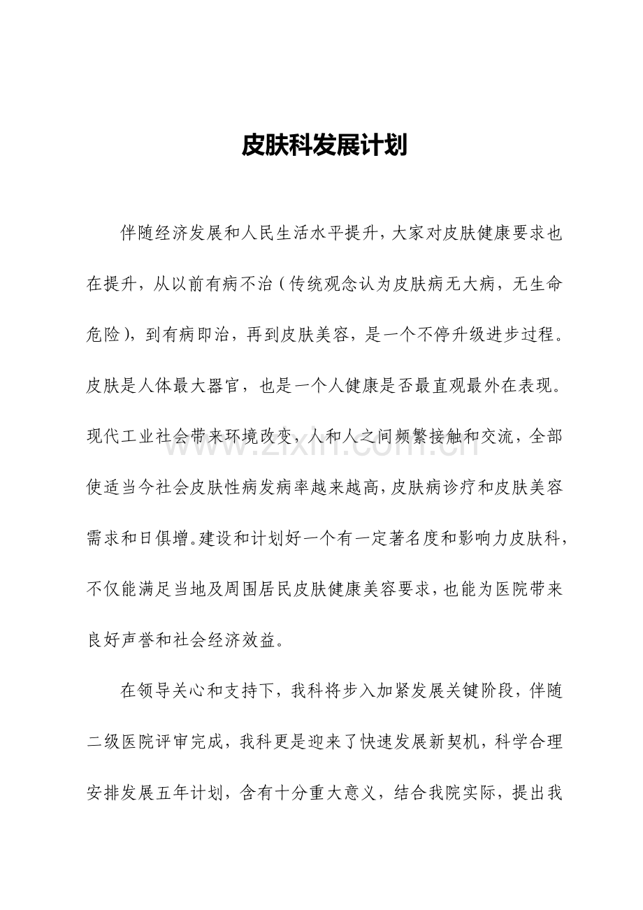 皮肤科发展综合规划.doc_第1页