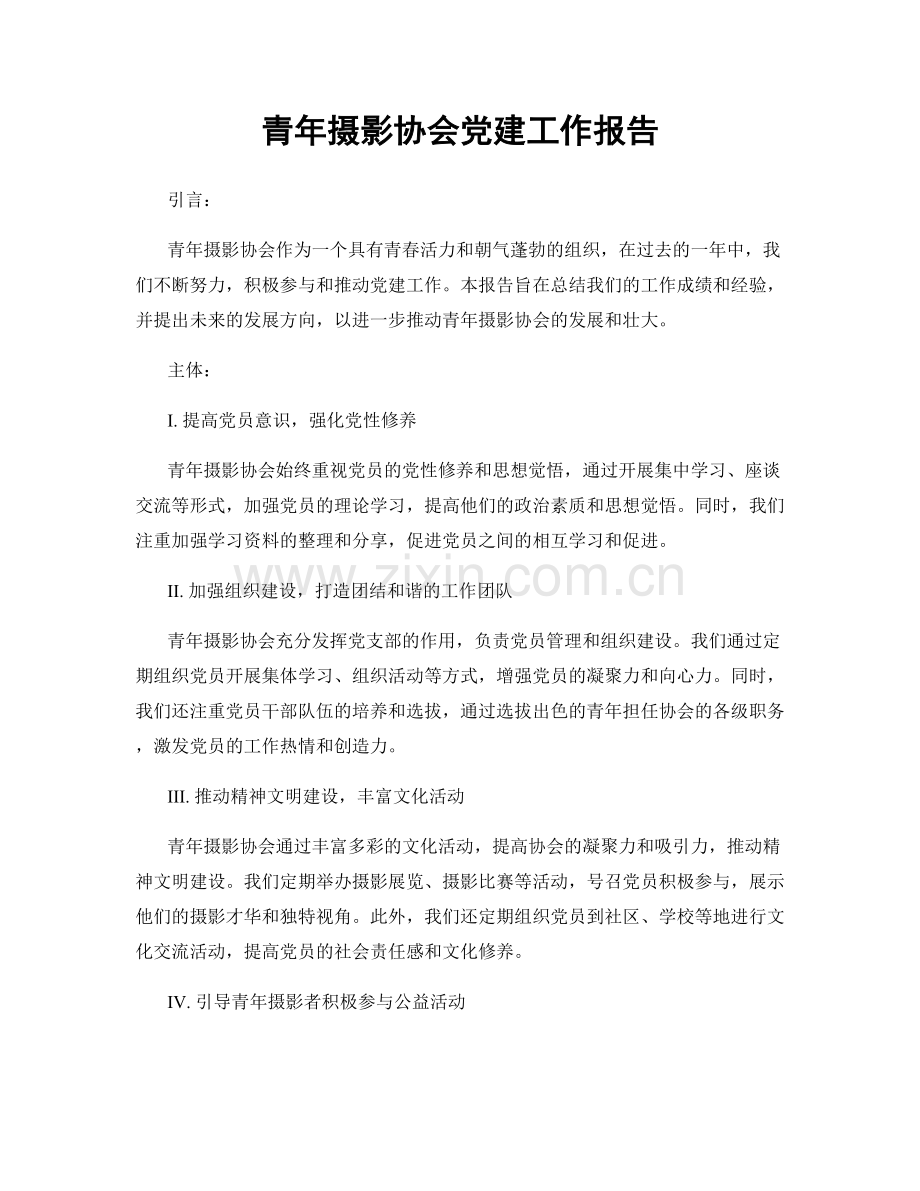 青年摄影协会党建工作报告.docx_第1页