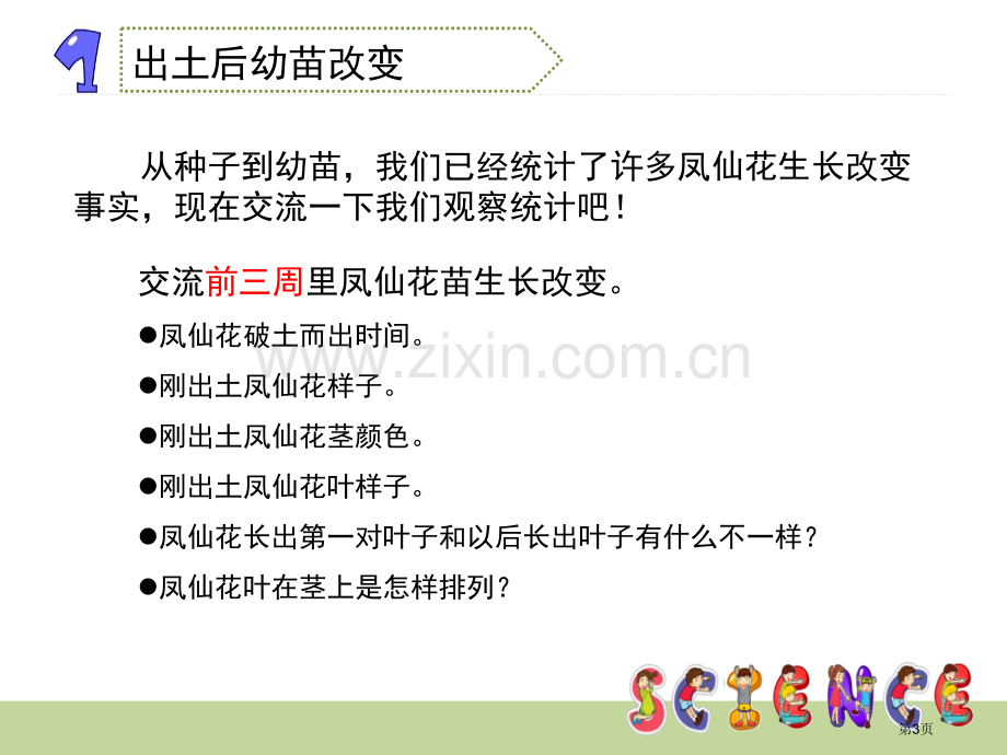 种子变成了幼苗植物的生长变化省公开课一等奖新名师比赛一等奖课件.pptx_第3页