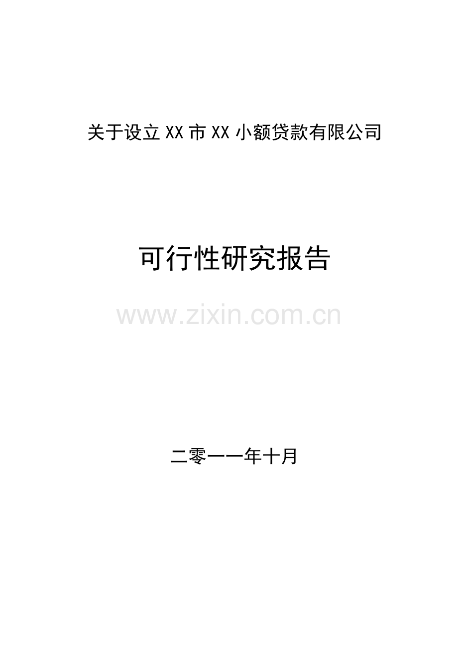 2016年关于设立某小额贷款有限公司建设可研报告.doc_第1页